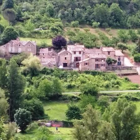 Gite Du Tourdre La Cresse Extérieur photo